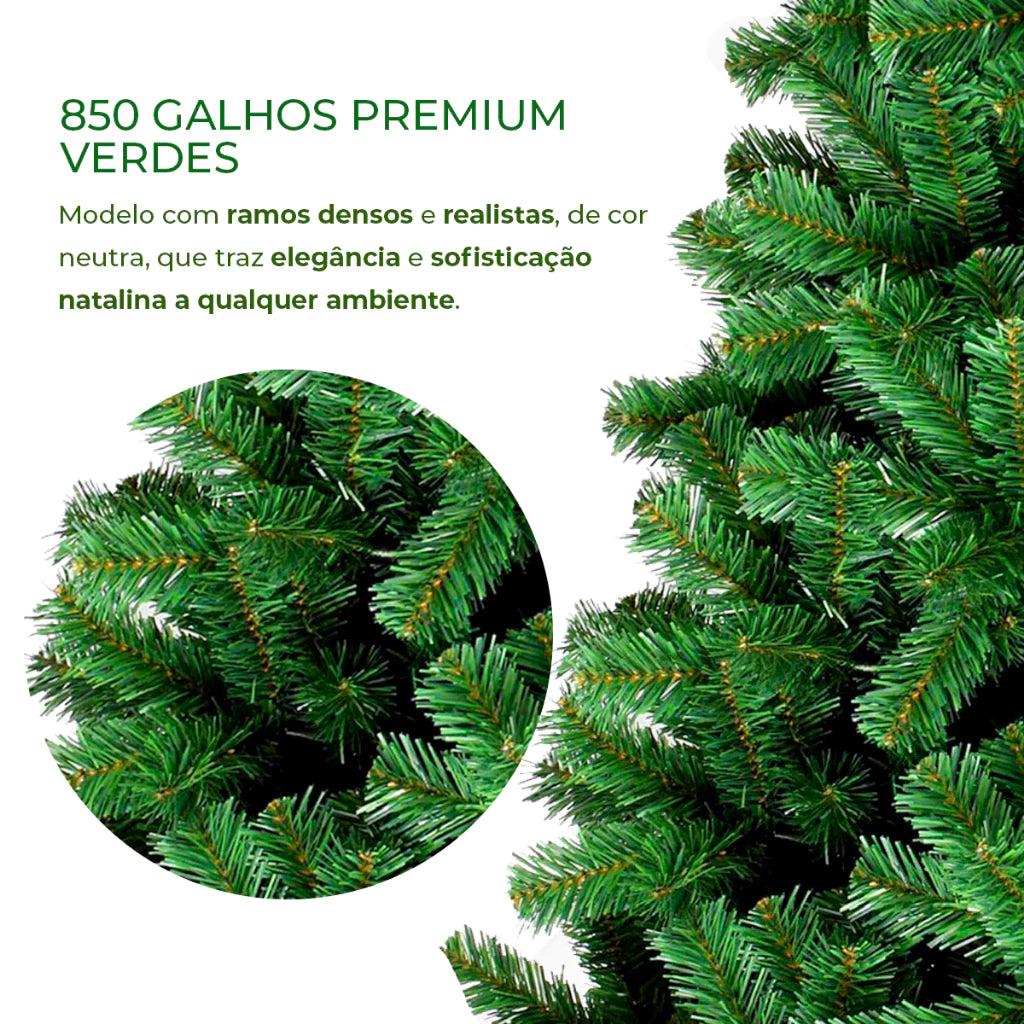 Árvore-de-Natal-Pinheiro-Canadense-02